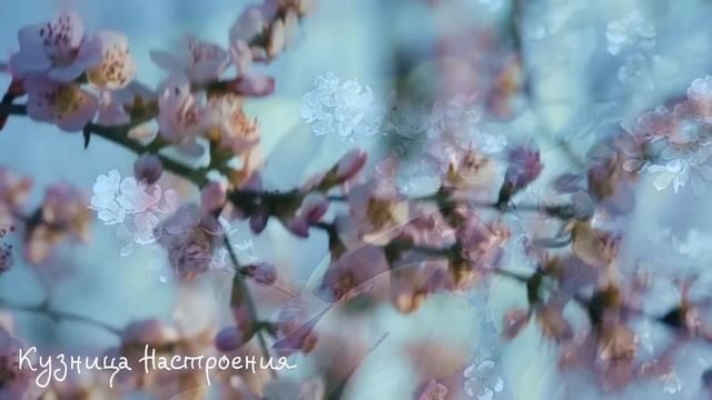 9 апреля Вербное Воскресенье. Что нельзя делать Вербное Воскресенье. Народные традиции и приметы.