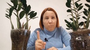 Стоит на месте. НЕТ новых ЛИСТЬЕВ.  Почему Замиокулькас НЕ РАСТЁТ. ЧТО делать?