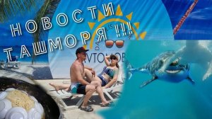 Что изменилось на Ташморе?Открытие зоны отдыха "Автомобилист"!Узбекский плов...