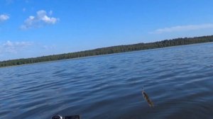 Бешеный клёв ОКУНЯ!Ловля Окуня на отводной ПОВОДОК!Открытие навигации 2021!