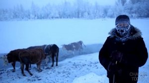 5 самых холодных мест на Земле