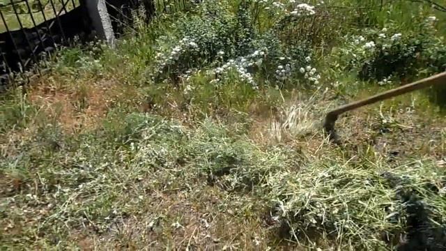 MOWING GRASS / ПОКОС ТРАВЫ РУЧНОЙ КОСОЙ . СТАРИННЫЙ ИНСТРУМЕНТ. ЛЕТО 2018 смотреть онлайн