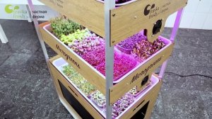 #СТЕЛЛАЖ ДЛЯ МИКРОЗЕЛЕНИ - LILU