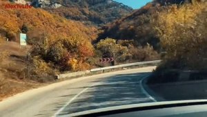 ЗАКОСЯЧИЛ ПРИ ПОКРАСКЕ АВТО ПЕРЕЗАГРУЗКА ОСЕННИЙ ЗАПЛЫВ