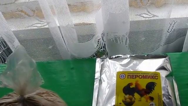 Советы для начинающих птицеводов!!!!!!