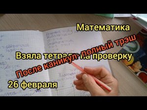 Взяла тетрадки на проверку.