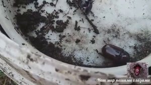 Личинка жука носорога