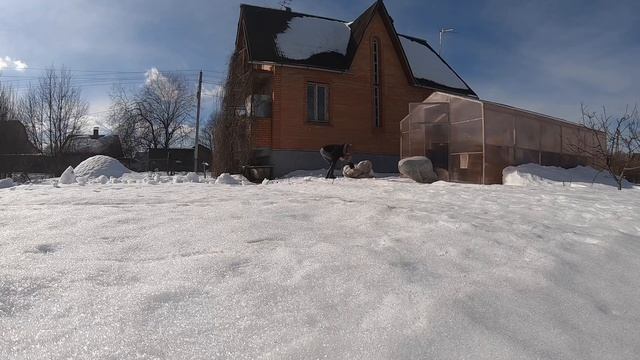 НА ДАЧЕ В НАЧАЛЕ МАРТА 2022 г. | НАСТ ЛОМАЕТ КУСТАРНИКИ #дача #влог #огород смотреть онлайн