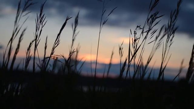 Расслабляющая музыка для  погружения в себя. Relaxing music for a complete immersion in yourself. смотреть онлайн