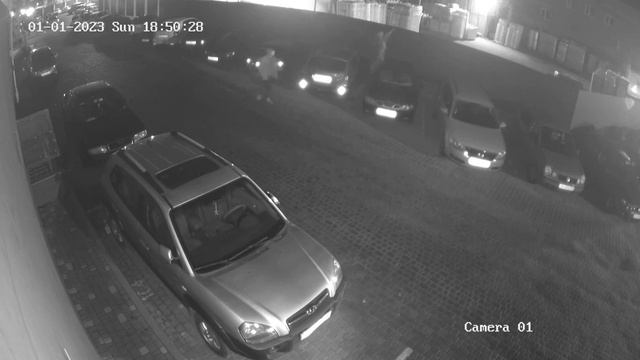 перебрасывает через забор отраву. Отравление двух собак смотреть онлайн