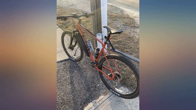 SKS Germany X-Guard Downtube Fender, Black review смотреть онлайн