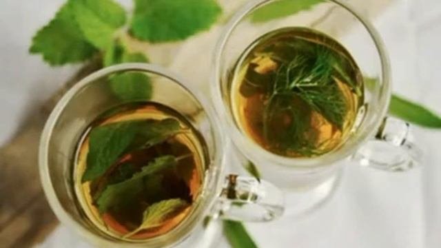 ЛУТШИЕ РЕЦЕПТЫ НАРОДНОЙ МЕДИЦИНЫ ДЛЯ ЛЕЧЕНИЯ ПОДЖЕЛУДОЧНОЙ ЖЕЛЕЗЫ