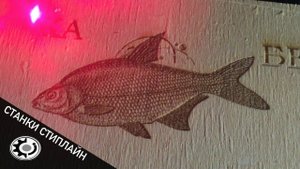 Лазерная гравировка по дереву на станках LASERSTOL (ЛАЗЕРНЫЕ СТАНКИ С ЧПУ LASERSTOL - STEEPLINE)