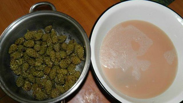 Варенье из сосновой шишки