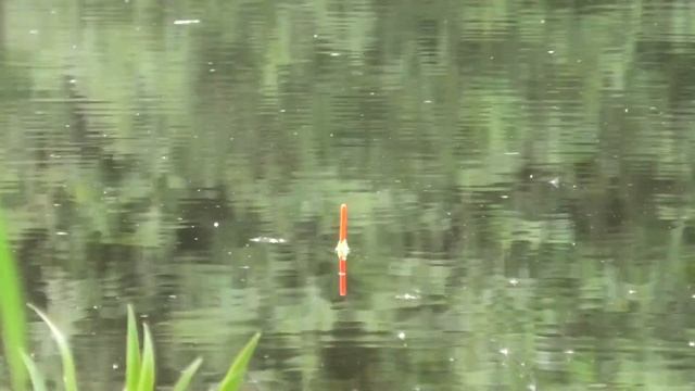 Вся рыба клюет на это в сентябре - октябре смотреть онлайн