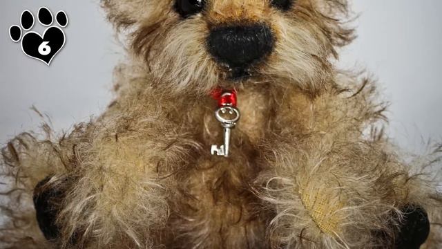 Top 10 Small Dog Breeds That Look Like Teddy Bears смотреть онлайн