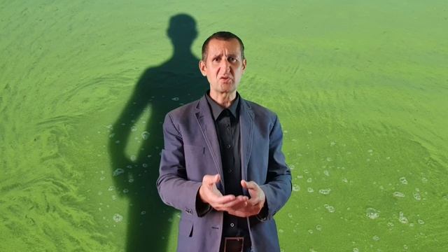 Сергей Довлатов БЛЮЗ для НАТЭЛЛЫ смотреть онлайн