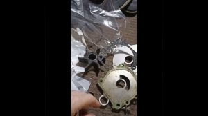 замена крыльчатки помпы Yamaha F115 2013г.в.