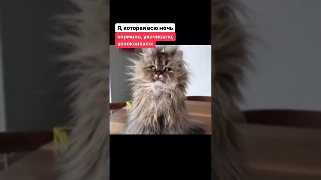 Что норма, а что нет в сне малышей до 5 месяцев? Читай в описании👌 #сонмалыша #малышплохоспит