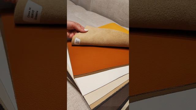 Какую обивку выбрать, если есть домашние животные  #диван #диванкровать #мебель #мягкаямебель