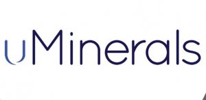 Кулон янтарный.