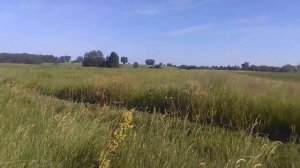 Гербицид по целине,и вообще стоит ли его лить?