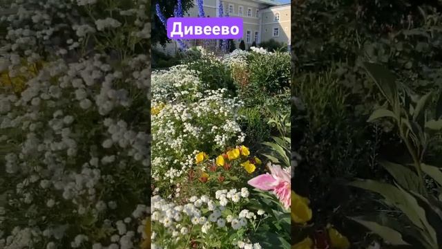 Дивеево 19.06