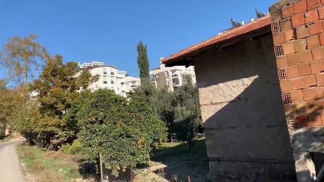 Прогулка, контрасты Турции и история как я стулья продавал.?? смотреть онлайн