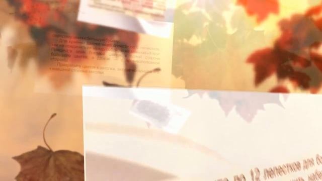 Заколка ПРЕЛЕСТЬ смотреть онлайн