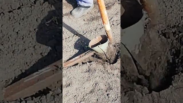 Посадка картофеля станет удобнее и быстрее с таким приспособлением