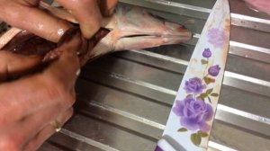 рыба красноглазка из супермаркета с глистами