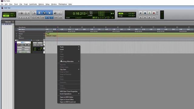 Видеоуроки PRO TOOLS  Урок 7 Треки (MIDI Track, Import MIDI)