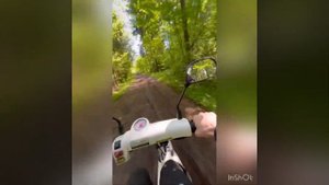 Yamaha Jog и Honda Zook.Катаемся по лесу!