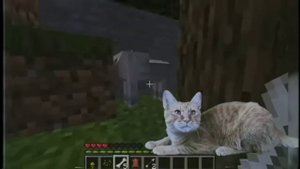 Симбочка и Майнкрафт😺