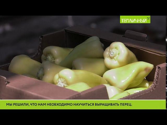 Главный агроном 