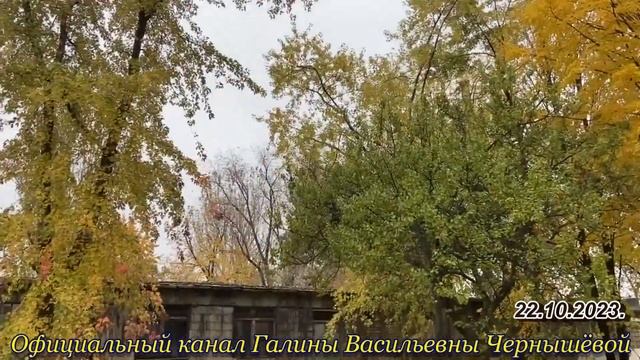 "Осенний блюз | Краски осени!" 22.10.2023.