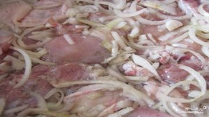 Шашлык из курицы в уксусе