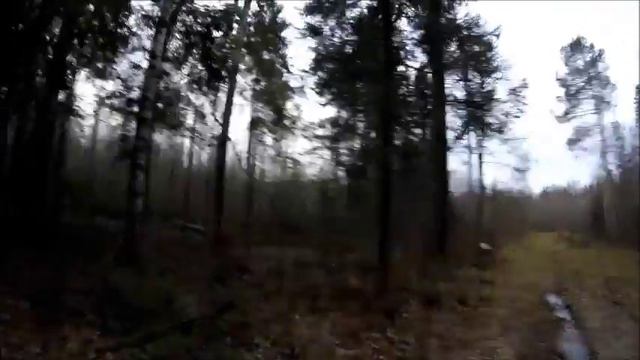 Умка  Первый гон смотреть онлайн