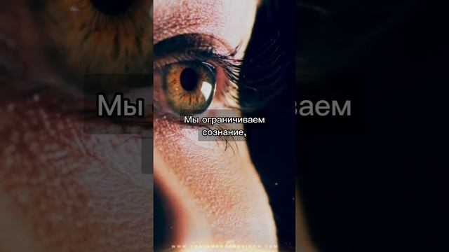 Иоги Амандипом Сингх. Солнцестояние.