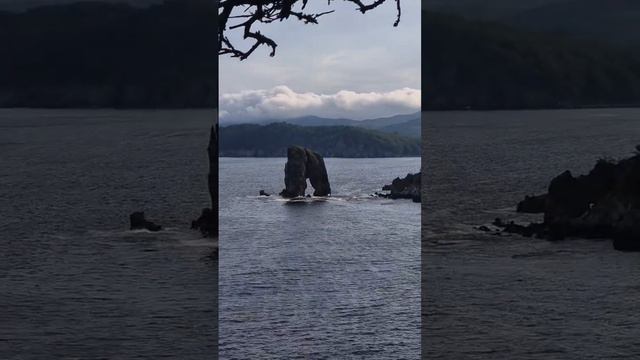 Морской заповедник, Кекуры Штаны, мыс Сосновый. #БлогВладивосток