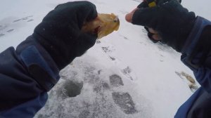 "Нестандартный подход" - ловля крупного ротана на съедобную резину по первому льду