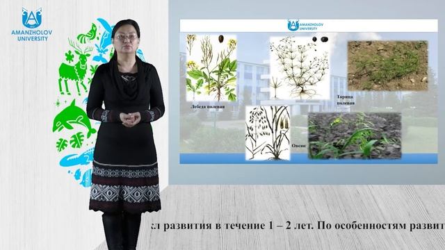 Комекова Г.К. Сорные растения, их характеристика. Экологическая проблема борьбы с сорняками смотреть онлайн