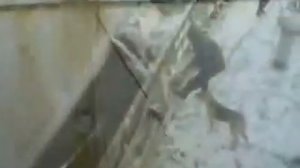 Рыбалка в Охотском море.mp4