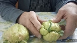 Чайот,или мексиканский огурец.