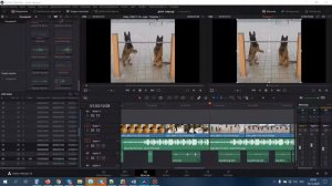 БАГ Davinci Resolve (Подскажите проблему) | Быстрый экспорт видео