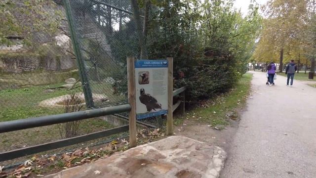 6만평 동물원, 입장료 1000원?!?말도안돼!?ENG/sub #1000원 #동물원, #튀르키예 смотреть онлайн