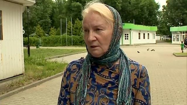 В одном из парков Ярославля массово гибнут птицы смотреть онлайн