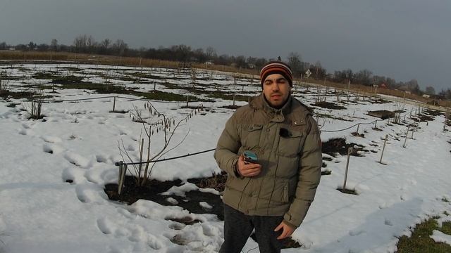 АЗОТНЫЕ УДОБРЕНИЯ ВЕСНОЙ! Секрет эффективного внесения азотных удобрений смотреть онлайн