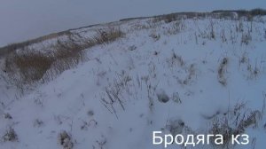 Охота на зайца. Предновогодний Бонус .ТОЗ-34 бой ружья радует.
