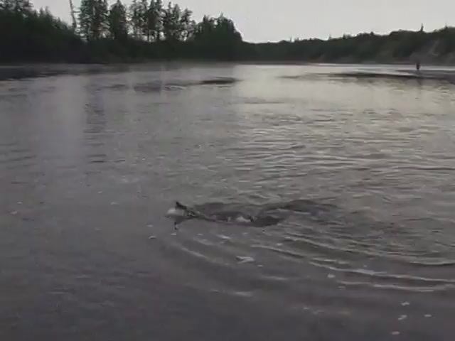 Серебряный ручей Выпуск 9 «Водными тропами якутских легенд» часть 2